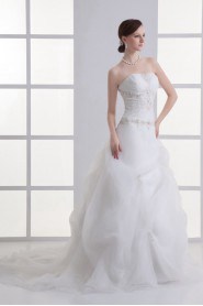 Organza Strapless Ball Gown with Embroidery