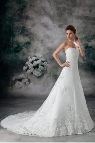 Net Sweetheart A Line Gown with Embroidery