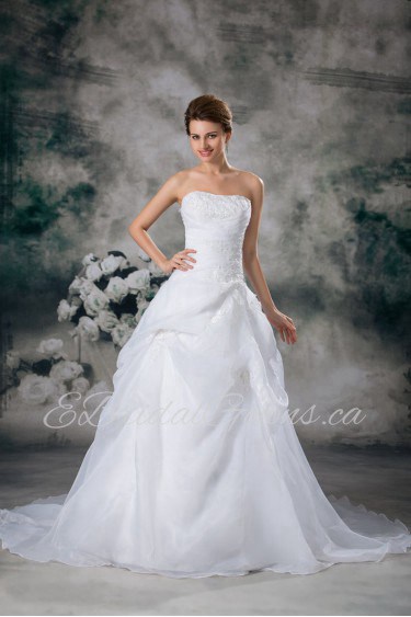 Organza Strapless A Line Gown with Embroidery