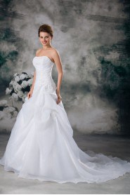 Organza Strapless A Line Gown with Embroidery