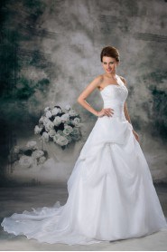 Organza Strapless A Line Gown with Embroidery