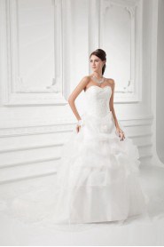 Organza Sweetheart A Line Gown with Embroidery