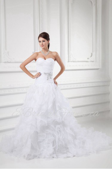 Organza Sweetheart A Line Gown with Embroidery