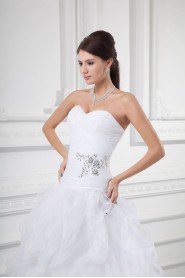 Organza Sweetheart A Line Gown with Embroidery