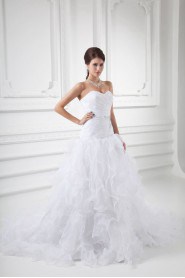 Organza Sweetheart A Line Gown with Embroidery