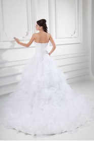 Organza Sweetheart A Line Gown with Embroidery