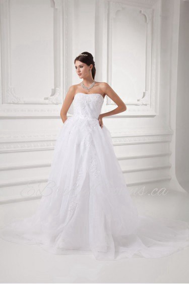 Organza Strapless A Line Gown with Embroidery