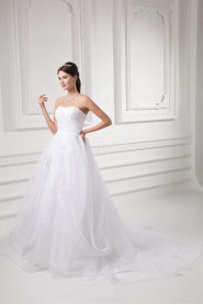 Organza Strapless A Line Gown with Embroidery