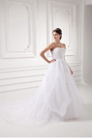 Organza Strapless A Line Gown with Embroidery