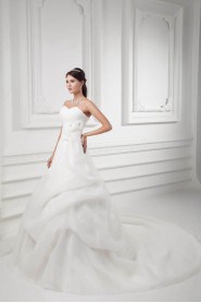 Organza Sweetheart A Line Gown