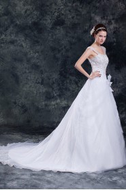 Organza A Line Gown with Embroidery