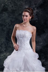 Organza Strapless A Line Gown with Embroidery