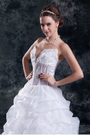 Organza V-Neck A Line Gown with Embroidery