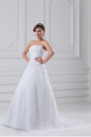 Organza Strapless A Line Gown