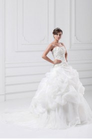 Organza Strapless A Line Gown with Embroidery