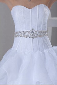 Organza Sweetheart A Line Gown with Embroidery