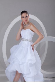 Organza Sweetheart A Line Gown with Embroidery