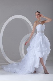 Organza Sweetheart A Line Gown with Embroidery