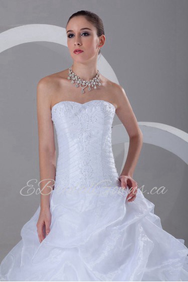 Organza Sweetheart A Line Gown with Embroidery