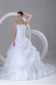 Organza Sweetheart A Line Gown with Embroidery