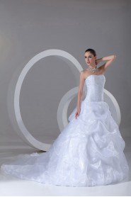 Organza Sweetheart A Line Gown with Embroidery