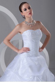 Organza Sweetheart A Line Gown with Embroidery