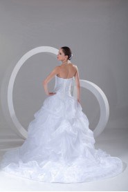 Organza Sweetheart A Line Gown with Embroidery