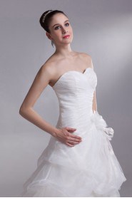 Organza Sweetheart A Line Gown with Embroidery