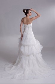 Organza Sweetheart A Line Gown with Embroidery