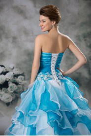 Organza Strapless A Line Gown with Embroidery