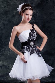 Organza Short Gown with Embroidery