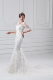 Lace V-Neck Sheath Gown with Half-Sleeves