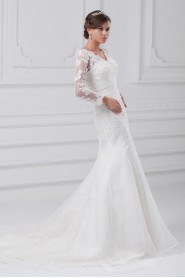 Organza V-Neck Sheath Illusion Gown