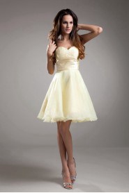 Organza Sweetheart Short A Line Dress with Embroidery