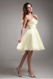 Organza Sweetheart Short A Line Dress with Embroidery