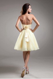 Organza Sweetheart Short A Line Dress with Embroidery