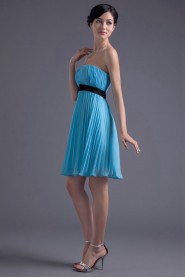 Chiffon Strapless Knee Length Dress with Sash