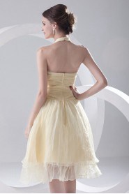 Organza Halter Knee Length Dress