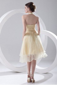 Organza Halter Knee Length Dress