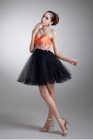 Taffeta and Net Sweetheart Short A Line Dress with Embroidery