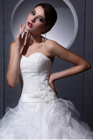 Organza and Lace Sweetheart A-line Dress 