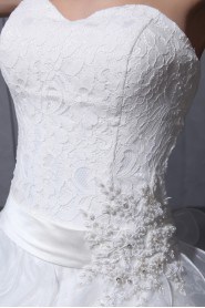 Organza and Lace Sweetheart A-line Dress 