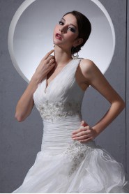 Organza V-Neckline A-line Dress