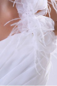 Organza One-Shoulder Ball Gown