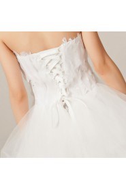 Organza V-neck Ball Gown