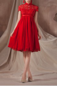 Satin High Collar Neckline Short Dress