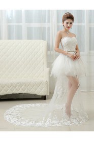 Lace and Tulle Strapless Sheath Dress with Embroidery