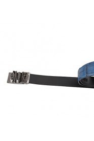 Men Waist Belt,Party/ Casual Alloy/ Leather All Seasons