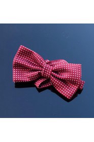 Men Party/Work/Casual Bow Tie , Polyester