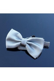 Men Party/Work/Casual Bow Tie , Polyester